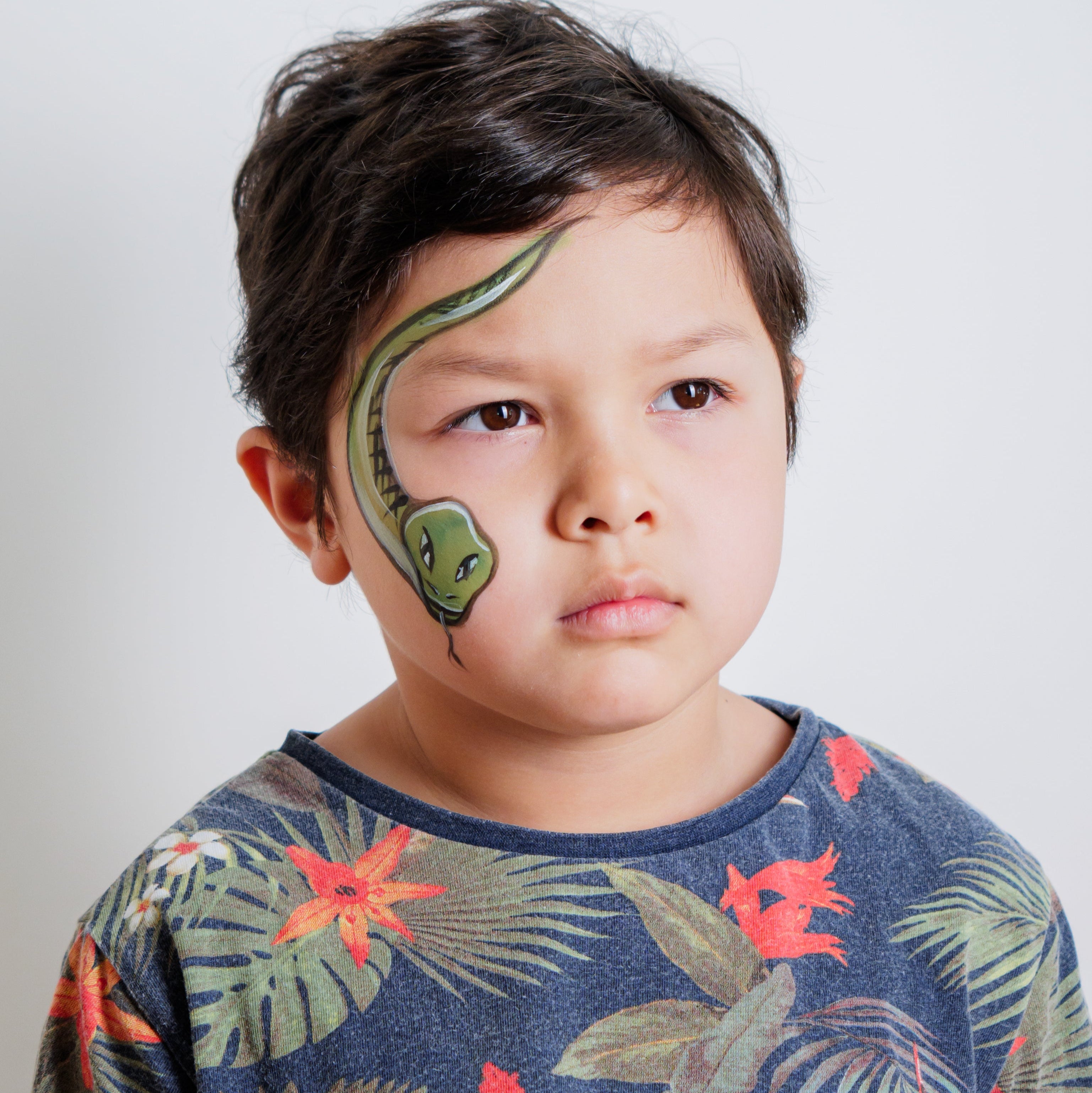 The Animal Kingdom Face Paint Kit