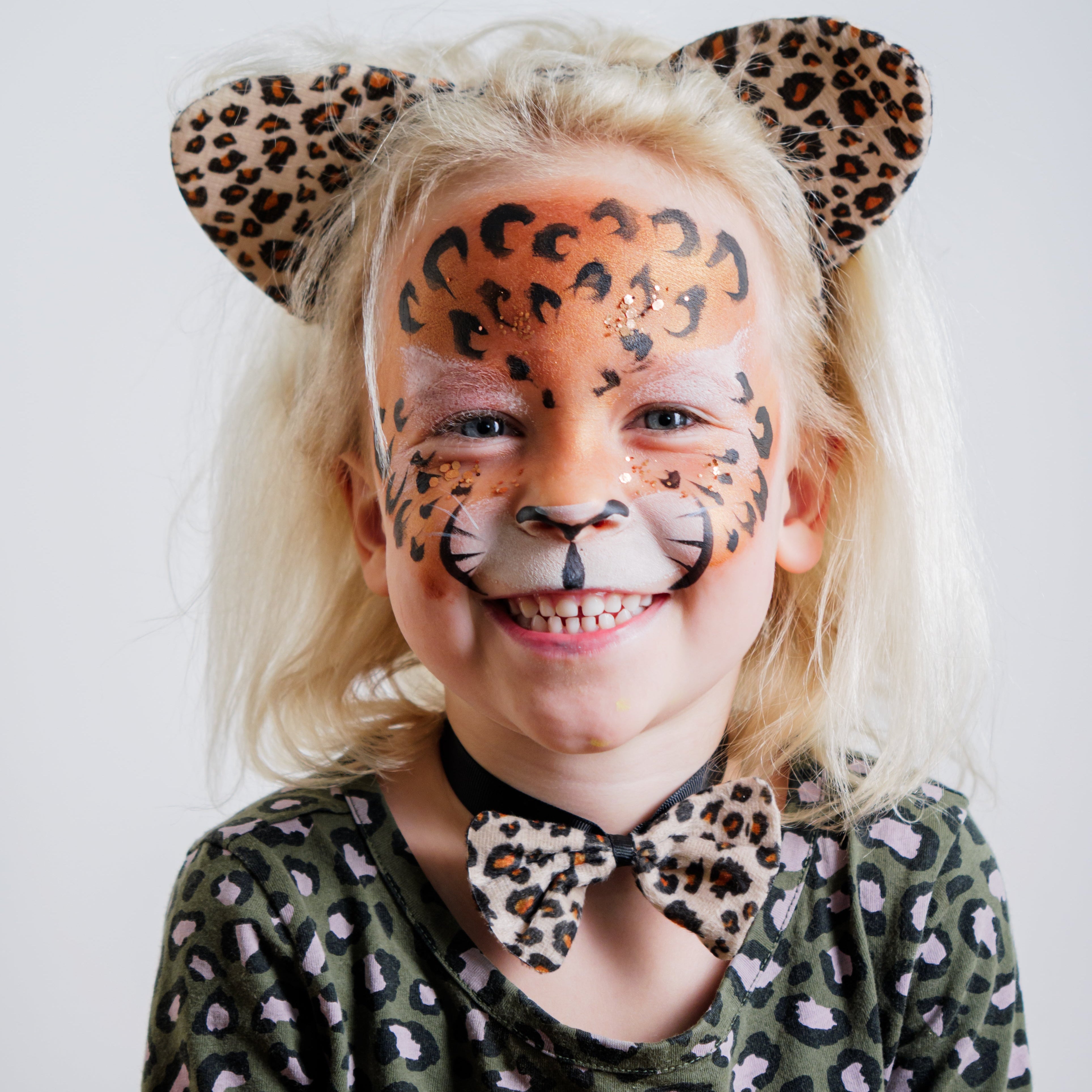 The Animal Kingdom Face Paint Kit