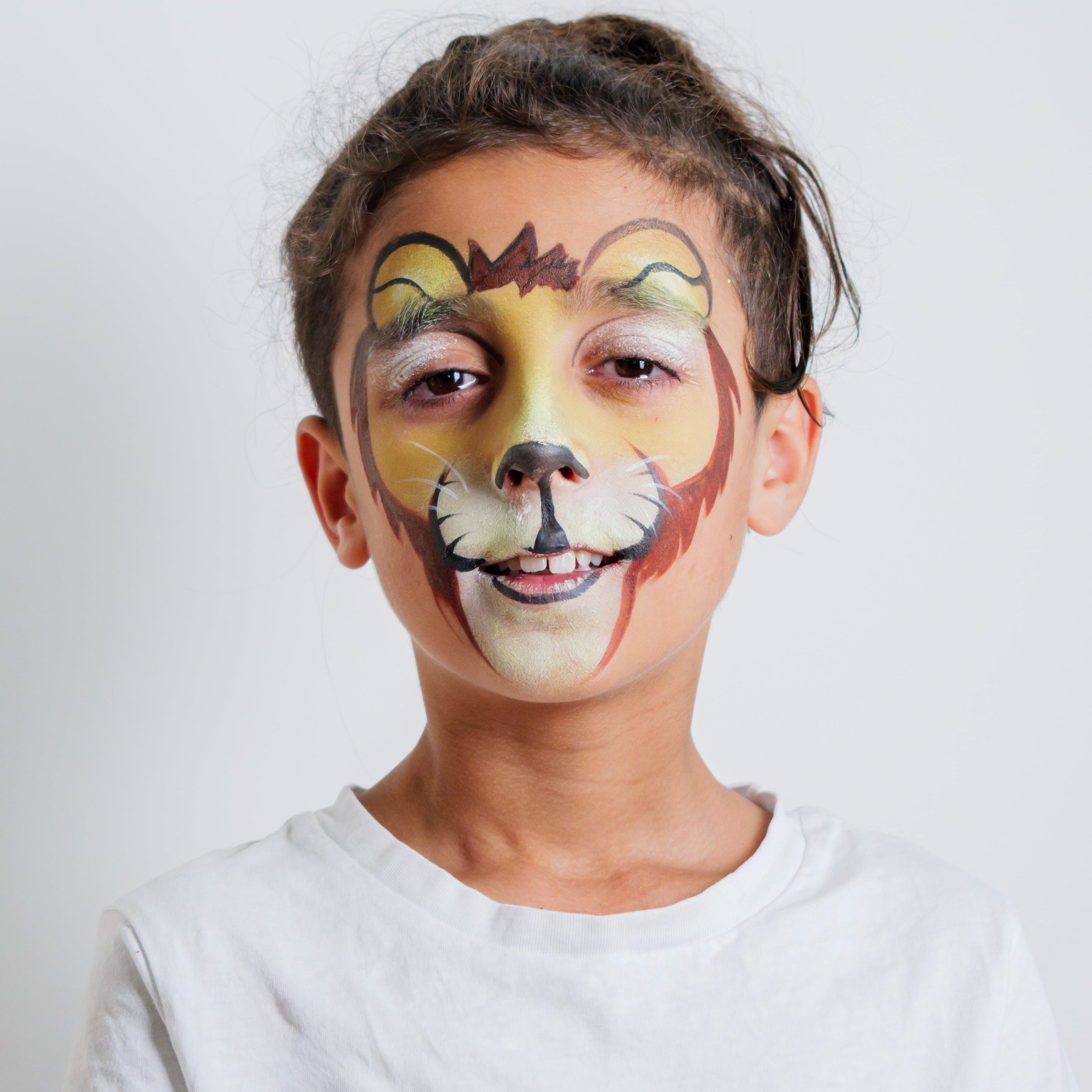 The Animal Kingdom Face Paint Kit