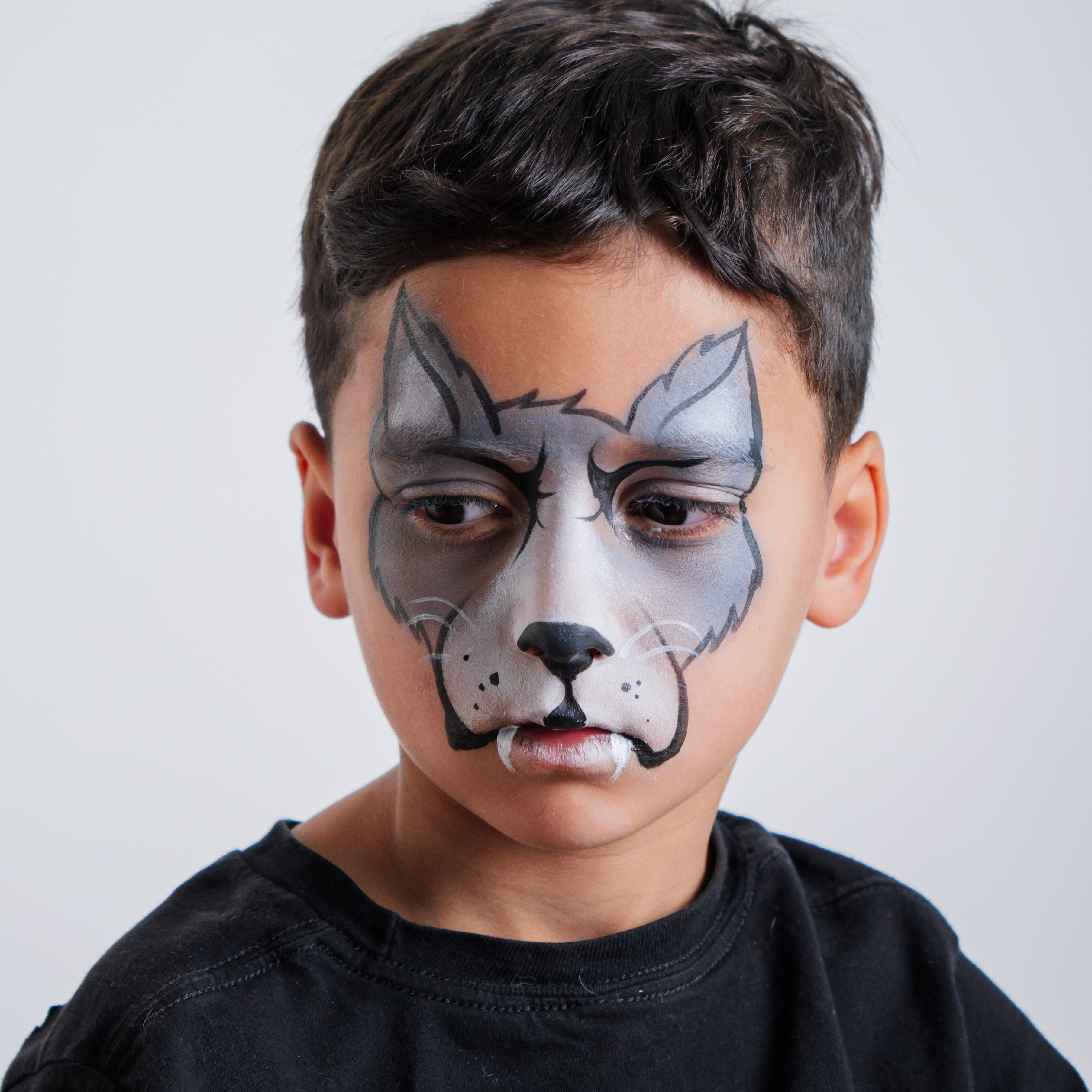 The Animal Kingdom Face Paint Kit